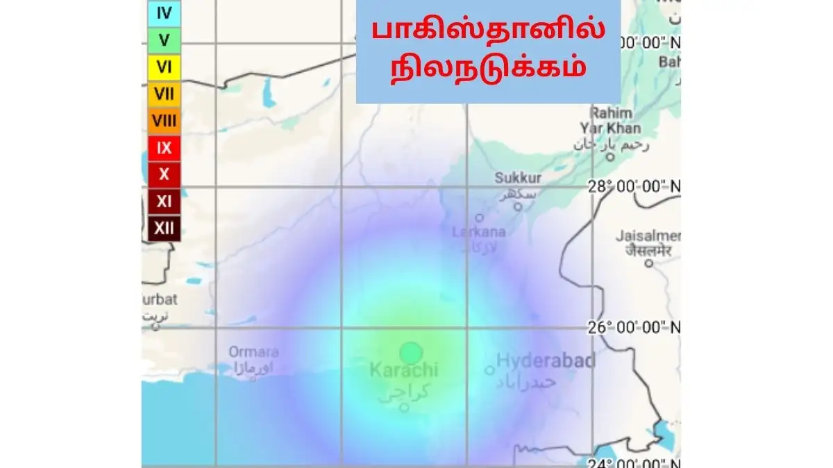பாகிஸ்தான் நிலநடுக்கம்: 4.7 ரிக்டர் அளவில்; மியான்மர் நிலநடுக்கத்தின் பாதிப்பு