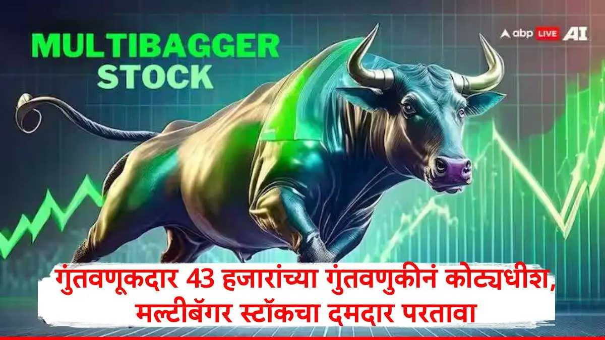 विनती ऑर्गेनिक्सचा शेअर: ६ रुपयांवरून १६०० पर्यंत वाढ, कोट्यधीशांची कहाणी