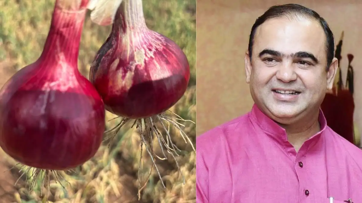 कांद्याच्या निर्यातीवरील शुल्क हटवले जाणार आहे