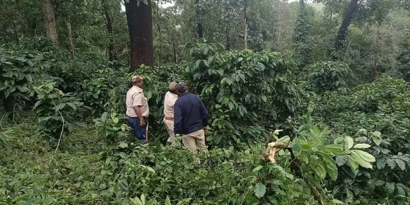 Supreme Court orders states to reclaim reserved forest lands from private entities.