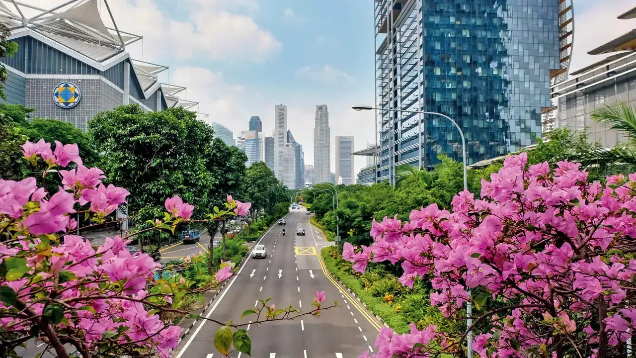 Singapore's green initiatives inspire Indian city planning