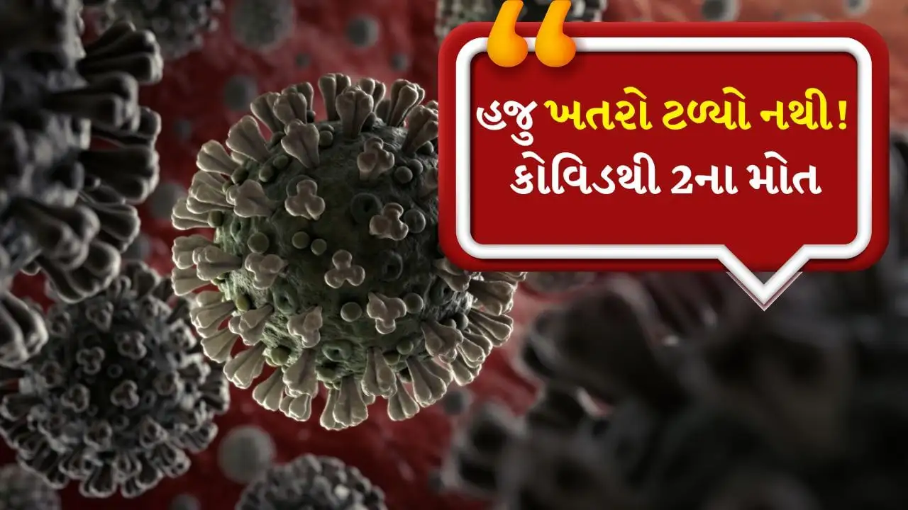 કોરોના વાયરસથી બે મૃત્યુ, ભારતમાં કેસોમાં વધારો, સાવચેતી રાખો