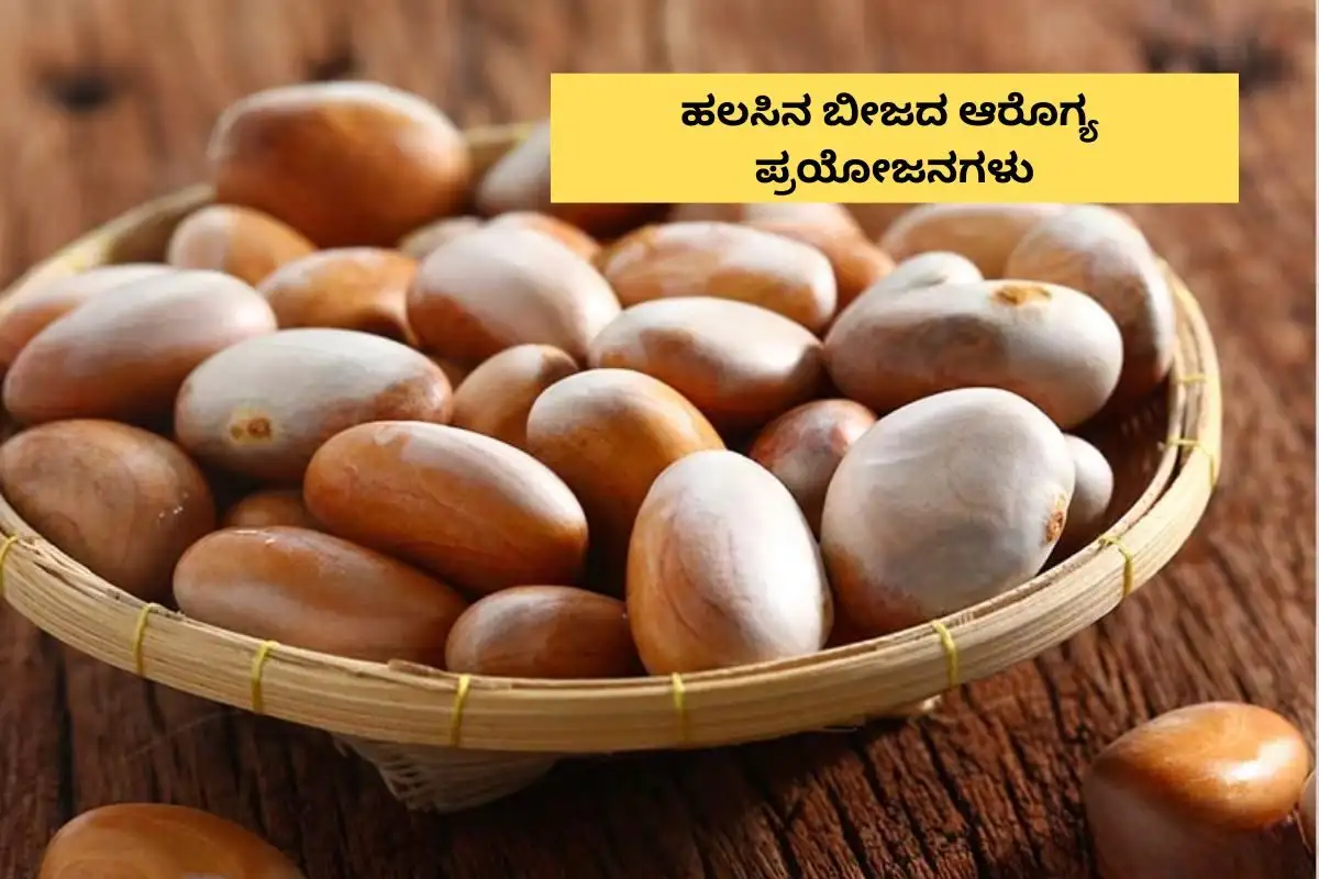 ಬೇಸಿಗೆಯಲ್ಲಿ ಹಲಸಿನ ಬೀಜದ ಅನೇಕ ಆರೋಗ್ಯ ಪ್ರಯೋಜನಗಳು