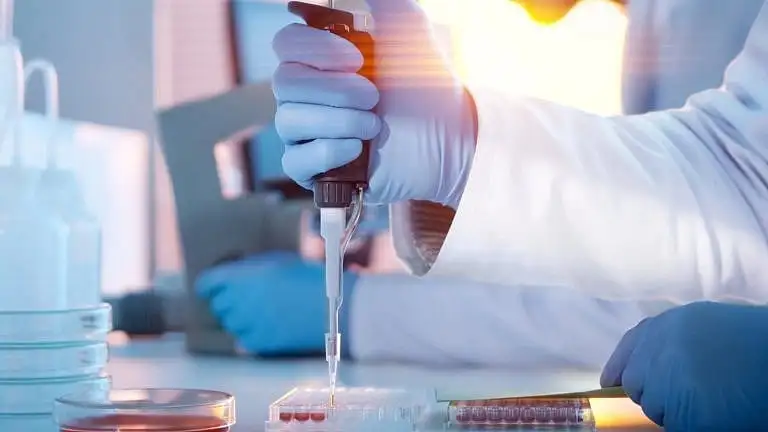 Sun Pharma Q4 results preview: gRevlimid sales growth, FY26 R&D guidance key.