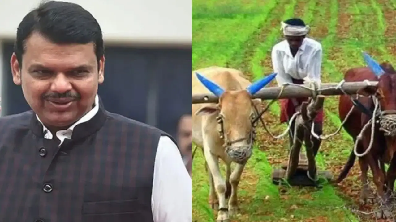 नवीन सरकारचा शेतकऱ्यांना दिलासा; राज्य मंत्रिमंडळाचा महत्त्वाचा निर्णय