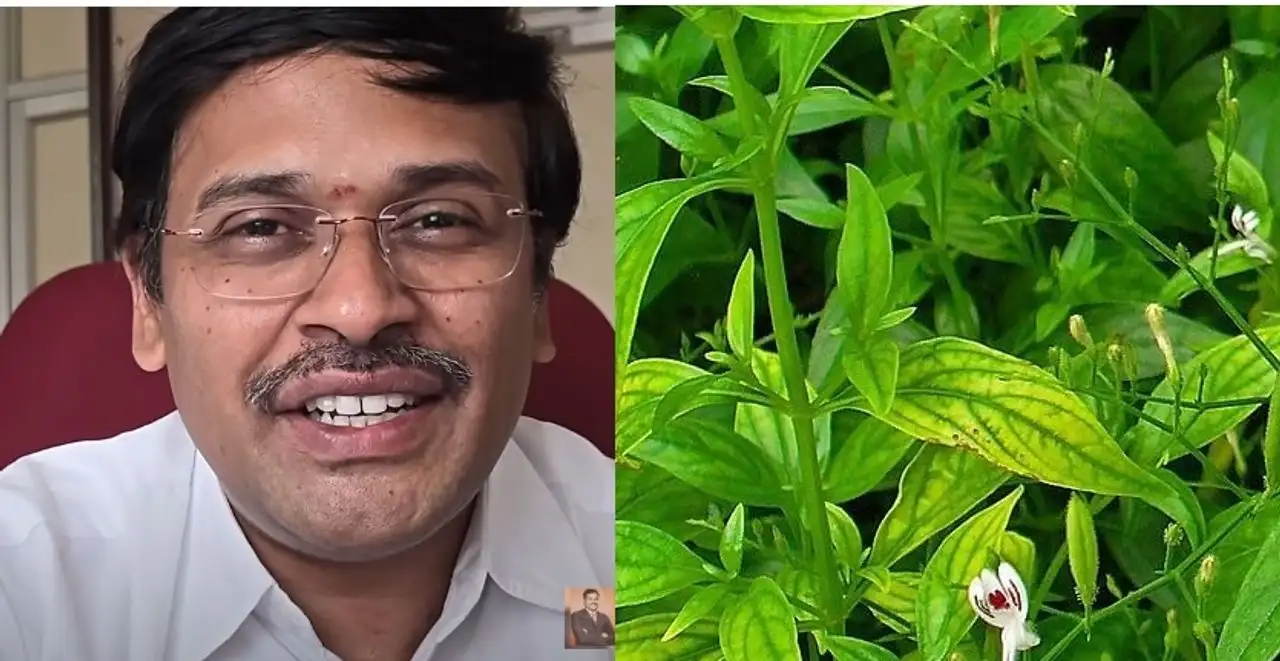 நிலவேம்பு, சிறிய நங்கை செடிகள்: பாம்பு வராமல் தடுக்கும் மருத்துவ குணங்கள்