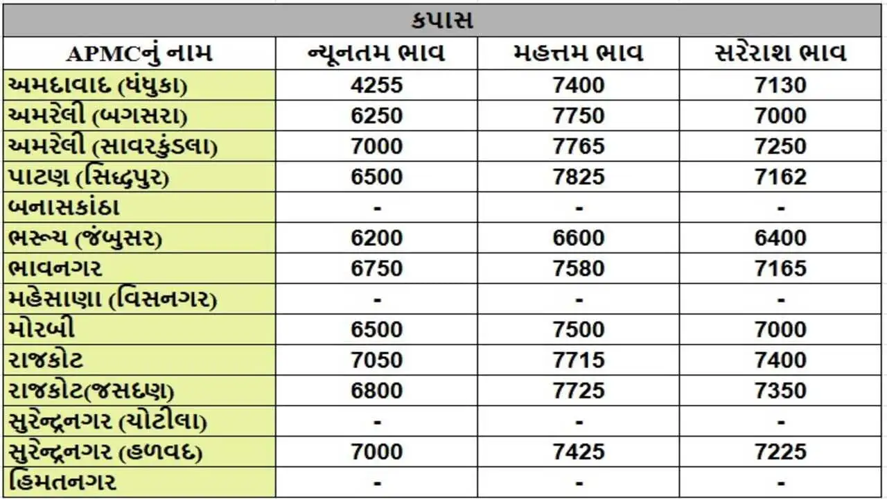 સિદ્ધપુર APMCમાં મગફળીના ભાવ 6790 રૂપિયા સુધી પહોંચ્યા