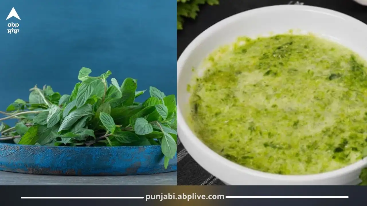 ਗਰਮੀਆਂ ਵਿੱਚ ਪੁਦੀਨੇ ਦੀ ਚਟਨੀ: ਸਿਹਤ ਲਈ ਲਾਭ