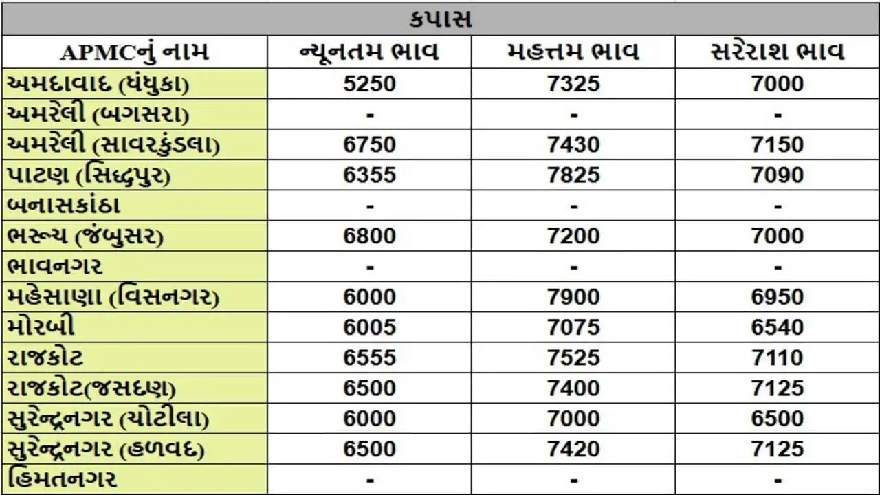 અમરેલી APMC બજારના બાજરાના ભાવ 3040 રૂપિયા સુધી પહોંચ્યા