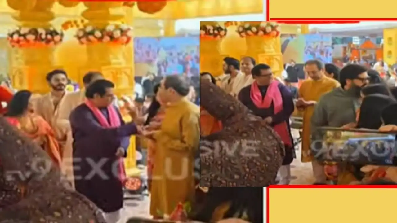 ठाकरे बंधूंची भेट; लग्न समारंभात एकत्रित येणे, राजकीय सहकार्याची चर्चा