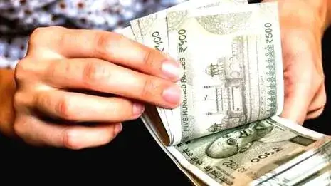 ചക്കയുടെ വാണിജ്യ സാധ്യതകൾ: ലക്ഷങ്ങളുടെ വരുമാനം നേടാം