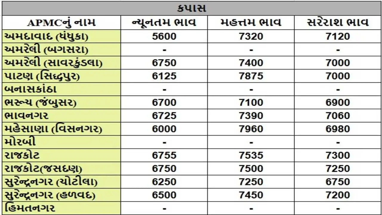 વિસનગર APMCમાં કપાસના ભાવ 7960 સુધી પહોંચ્યા, અન્ય પાકોના ભાવ