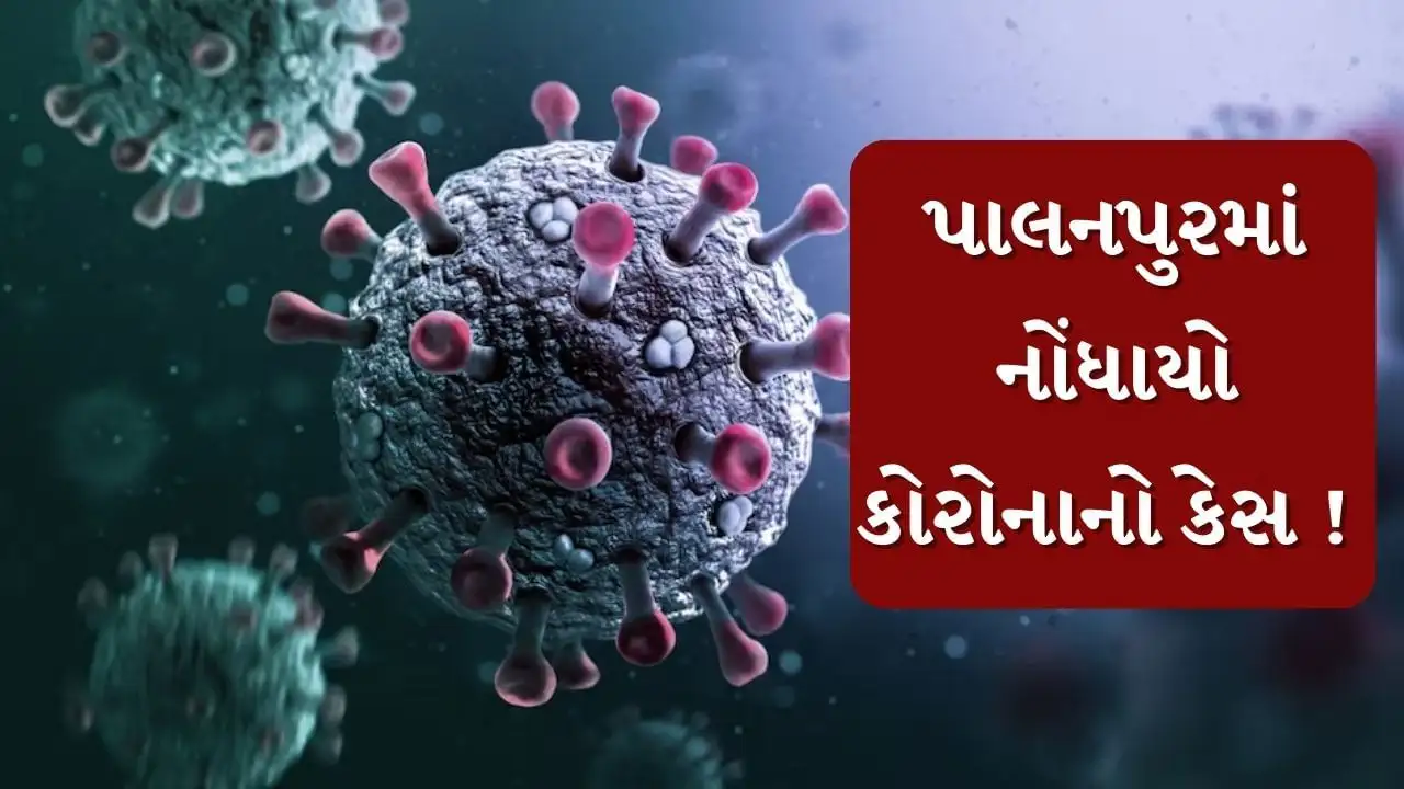 પાલનપુરમાં કોરોનાનો કેસ; 50 ઈમરજન્સી વોર્ડ તૈયાર કરાયા