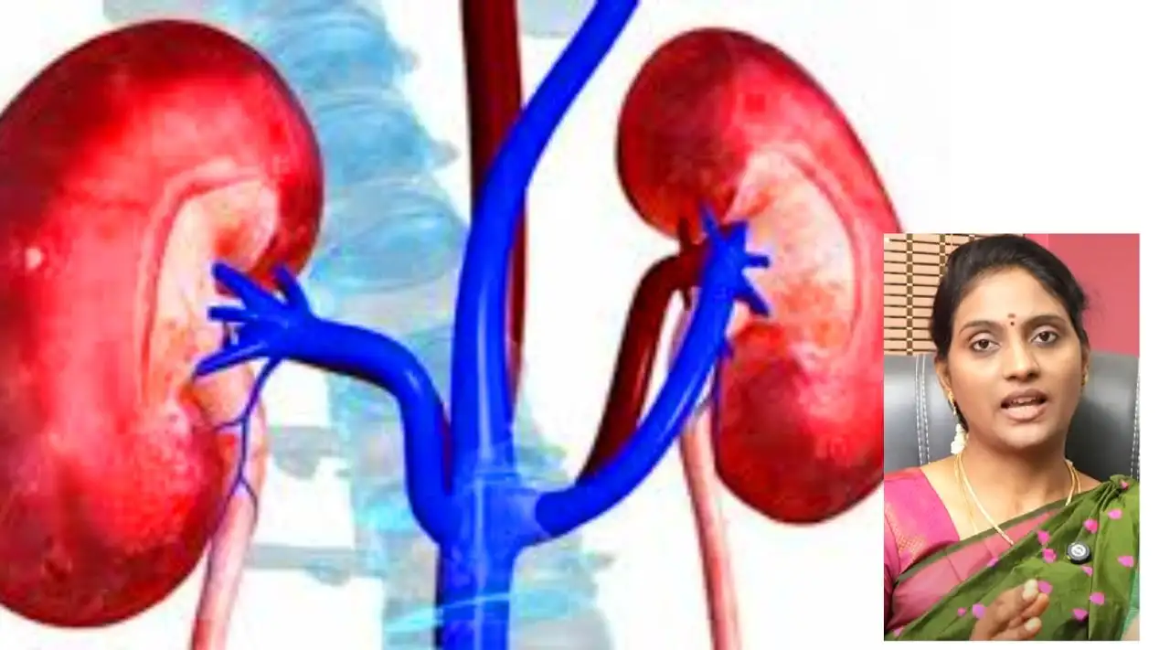 இரவில் அடிக்கடி சிறுநீர் கழித்தால் சிறுநீரக பாதிப்பு அறிகுறி