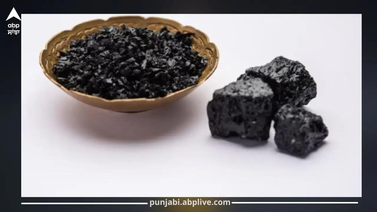ਸ਼ਿਲਾਜੀਤ: ਔਰਤਾਂ ਦੀ ਸਿਹਤ ਲਈ ਵਰਦਾਨ, ਹੈਰਾਨੀਜਨਕ ਫਾਇਦੇ
