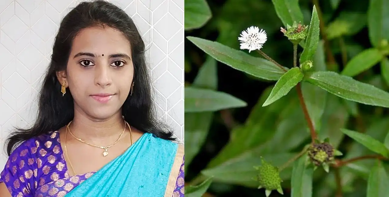 வீட்டில் தயாரிக்கும் இயற்கை முடி உதிர்வு தடுப்பு எண்ணெய்