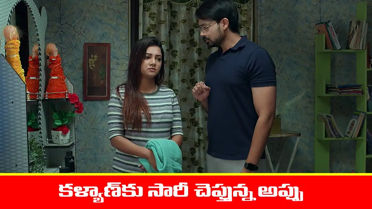 బ్రహ్మముడి సీరియల్‌లో రాజ్, అప్పు, కళ్యాణ్, రుద్రాణి కథాంశం