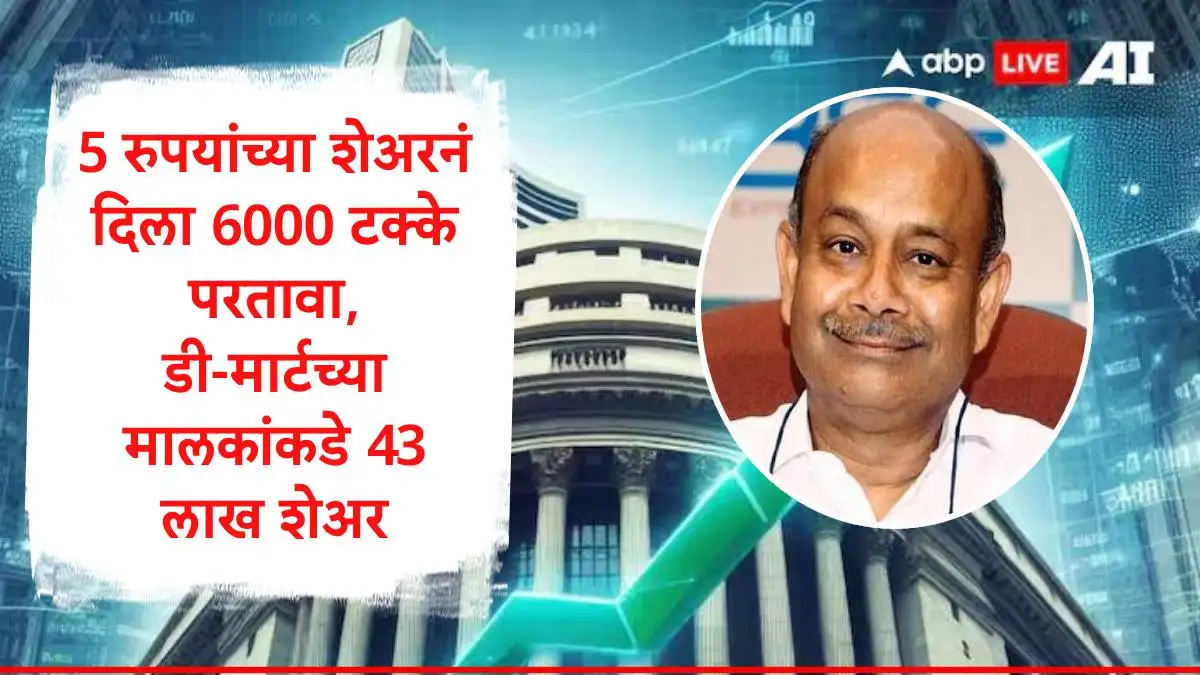 भगिराधा केमिकल्सचा शेअर ५ रुपयांवरून २९० रुपयांपर्यंत पोहोचला.